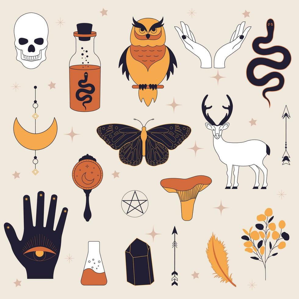 witchy magie set. reeks van hekserij artikelen. verzameling van witchy magie en esoterisch apparatuur. vector illustratie van mythisch elementen.