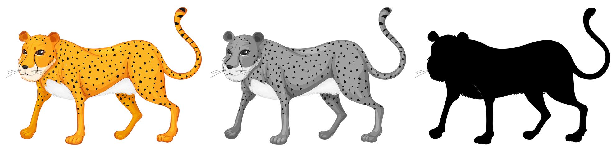 Set van cheetah karakter vector
