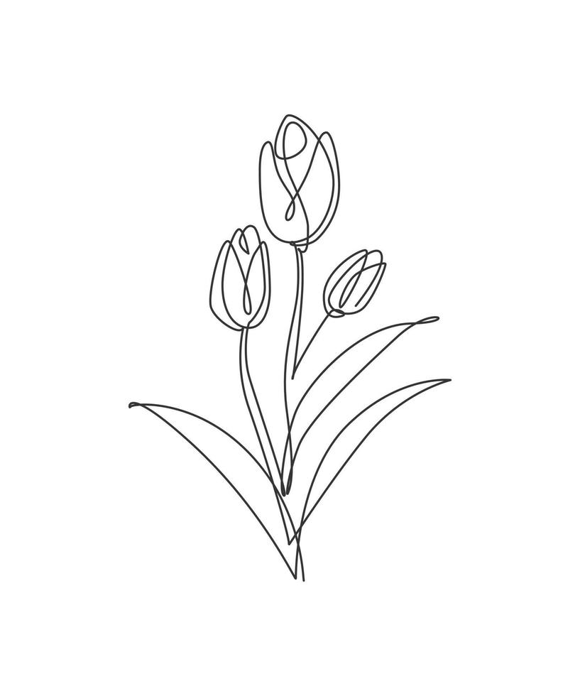 een enkele lijntekening schoonheid tulip bloem vectorillustratie. minimale tropische bloemenstijl, liefdes romantisch concept voor poster, wanddecoratieprint. modern doorlopende lijn grafisch tekenontwerp vector
