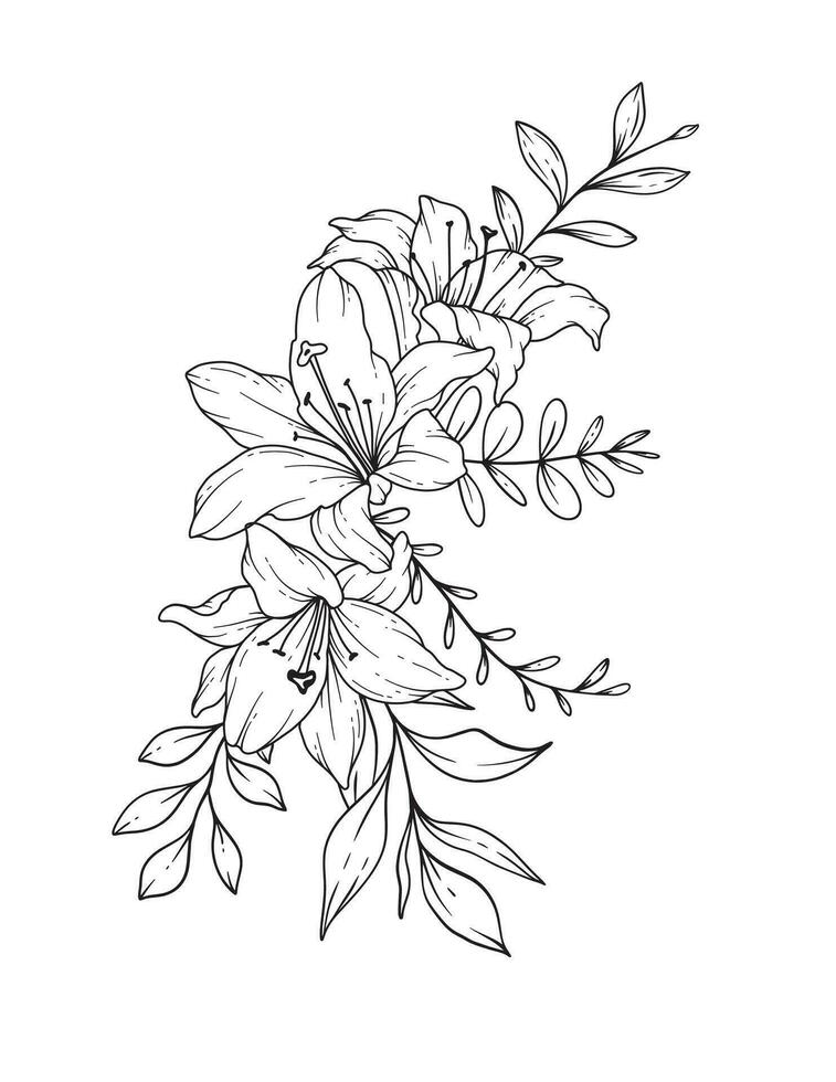 lelie lijn tekening. zwart en wit bloemen boeketten. bloem kleur bladzijde. bloemen lijn kunst. prima lijn lelies illustratie. hand- getrokken bloemen. botanisch kleuren. bruiloft uitnodiging bloemen vector