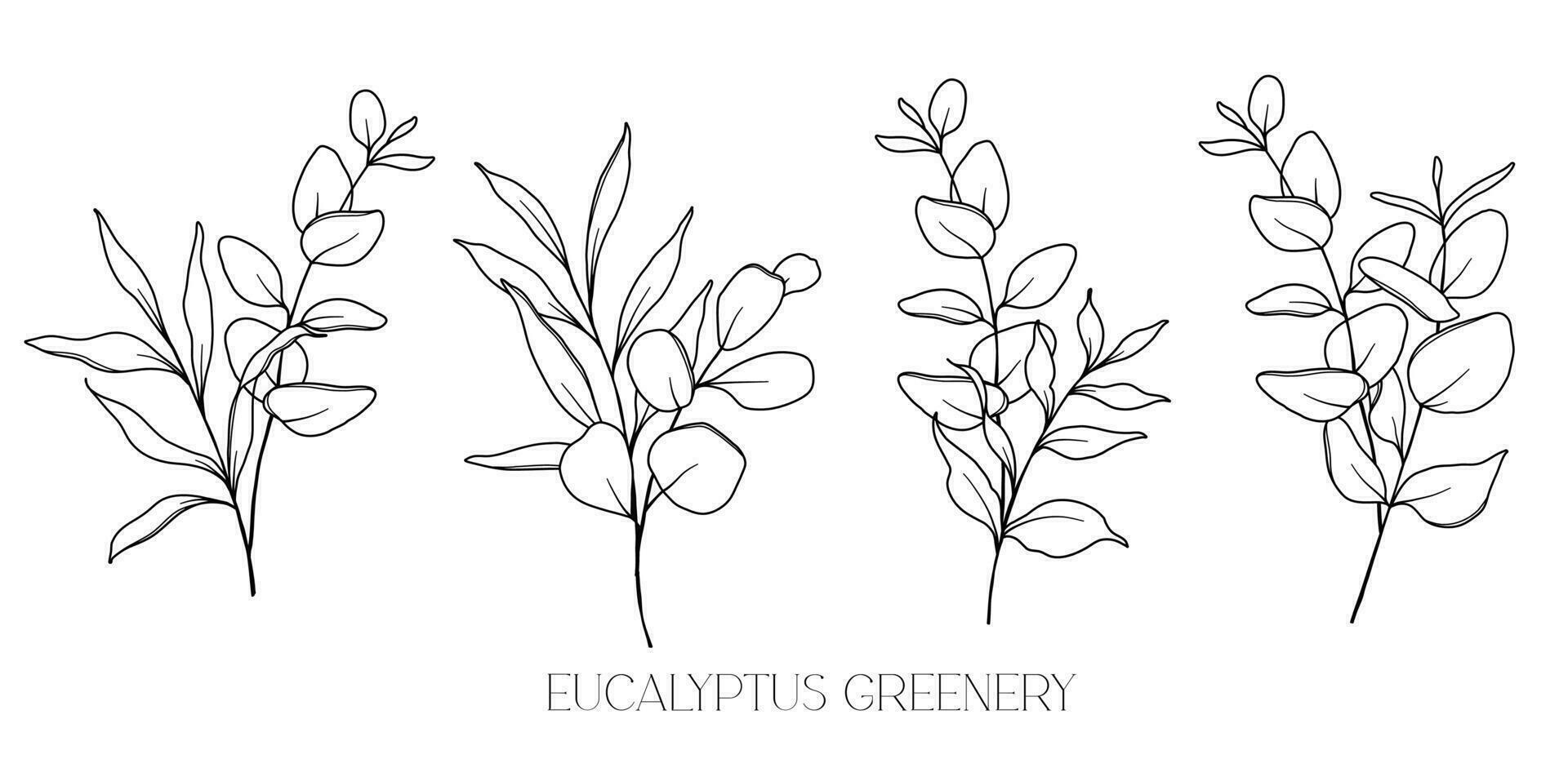 eucalyptus lijn tekening. zwart en wit bloemen boeketten. bloem kleur bladzijde. bloemen lijn kunst. prima lijn eucalyptus illustratie. hand- getrokken groen. botanisch kleuren. bruiloft uitnodiging groen vector