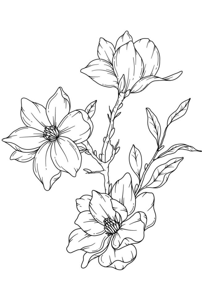 magnolia lijn tekening. zwart en wit bloemen boeketten. bloem kleur bladzijde. bloemen lijn kunst. prima lijn magnolia illustratie. hand- getrokken bloemen. botanisch kleuren. bruiloft uitnodiging bloemen vector