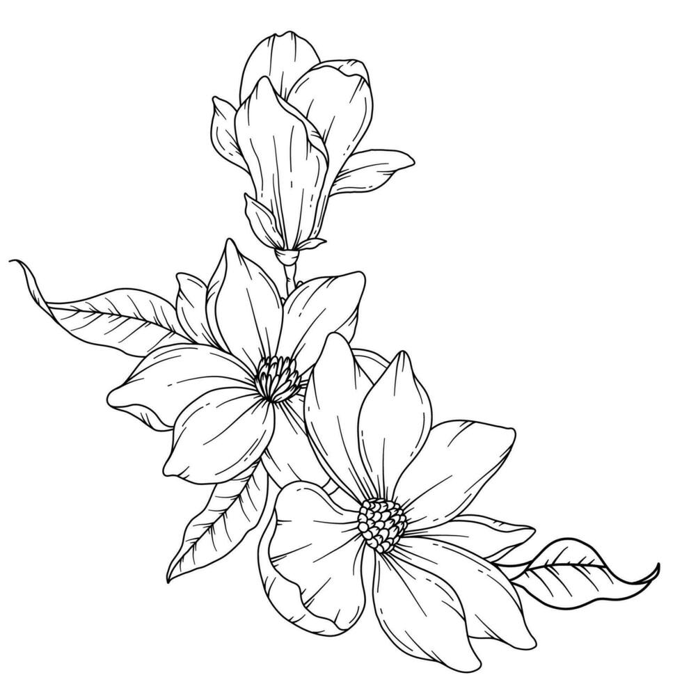 magnolia lijn tekening. zwart en wit bloemen boeketten. bloem kleur bladzijde. bloemen lijn kunst. prima lijn magnolia illustratie. hand- getrokken bloemen. botanisch kleuren. bruiloft uitnodiging bloemen vector