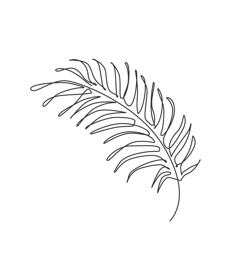 een doorlopende lijntekening tropisch palm faux areca blad. minimaal biologisch natuurlijk eco-concept. home wand decor, poster, tote tas, stof print. enkele lijn tekenen ontwerp grafische vectorillustratie vector