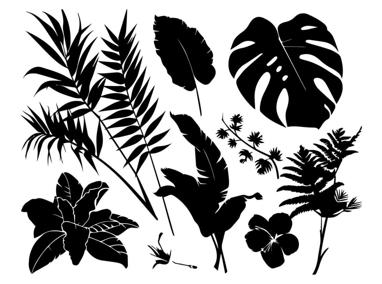 reeks van zwart silhouetten van bladeren en bloemen. vector illustratie.