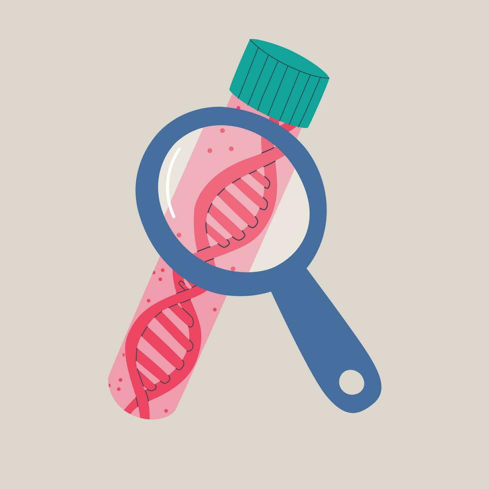 laboratorium test buis met een dna schroef binnen onder een vergroten glas. verzameling en examen van deoxyribonucleic zuur, nationaliteit testen, genetisch testen. vector geïsoleerd illustratie.