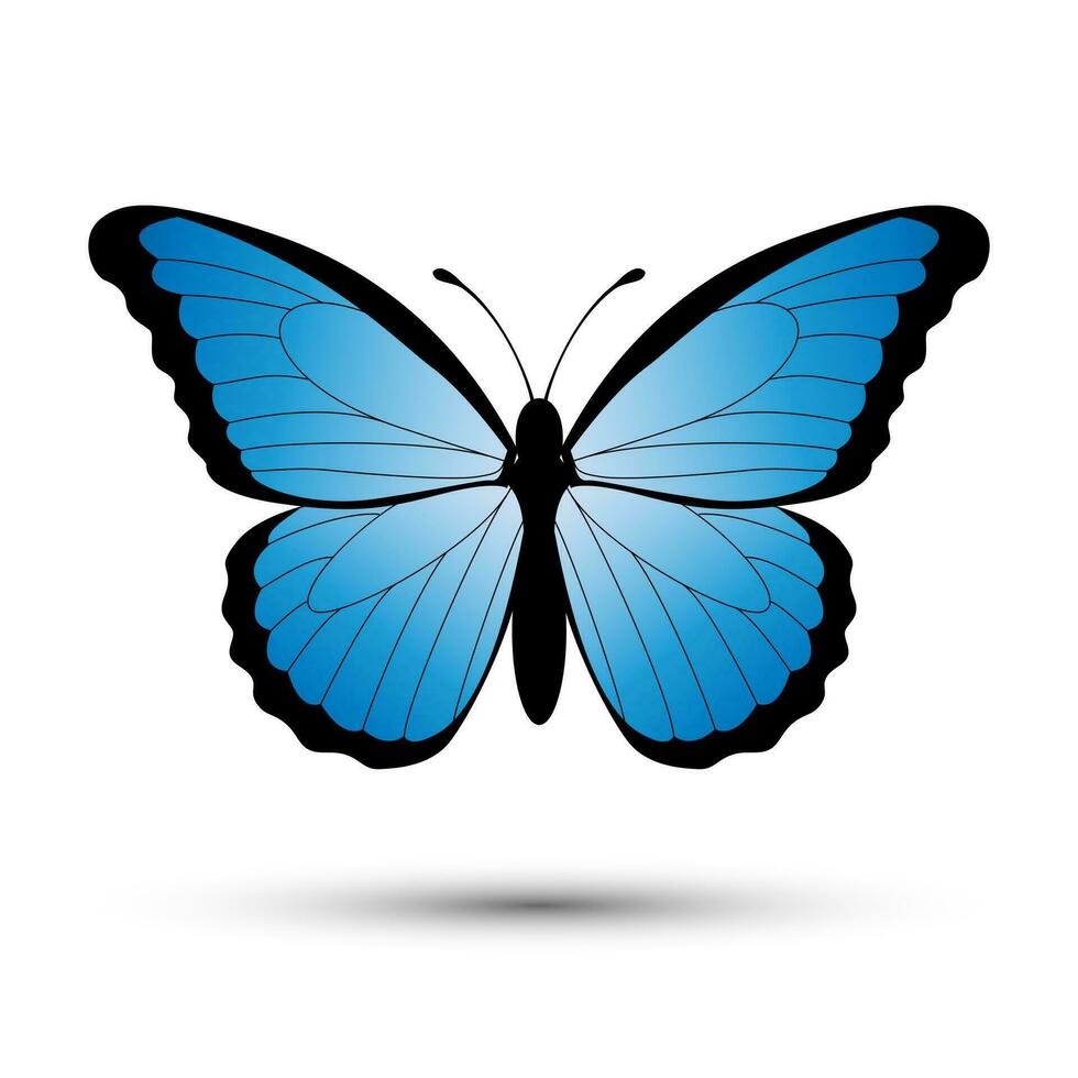 blauw vlinder geïsoleerd Aan een wit achtergrond vector