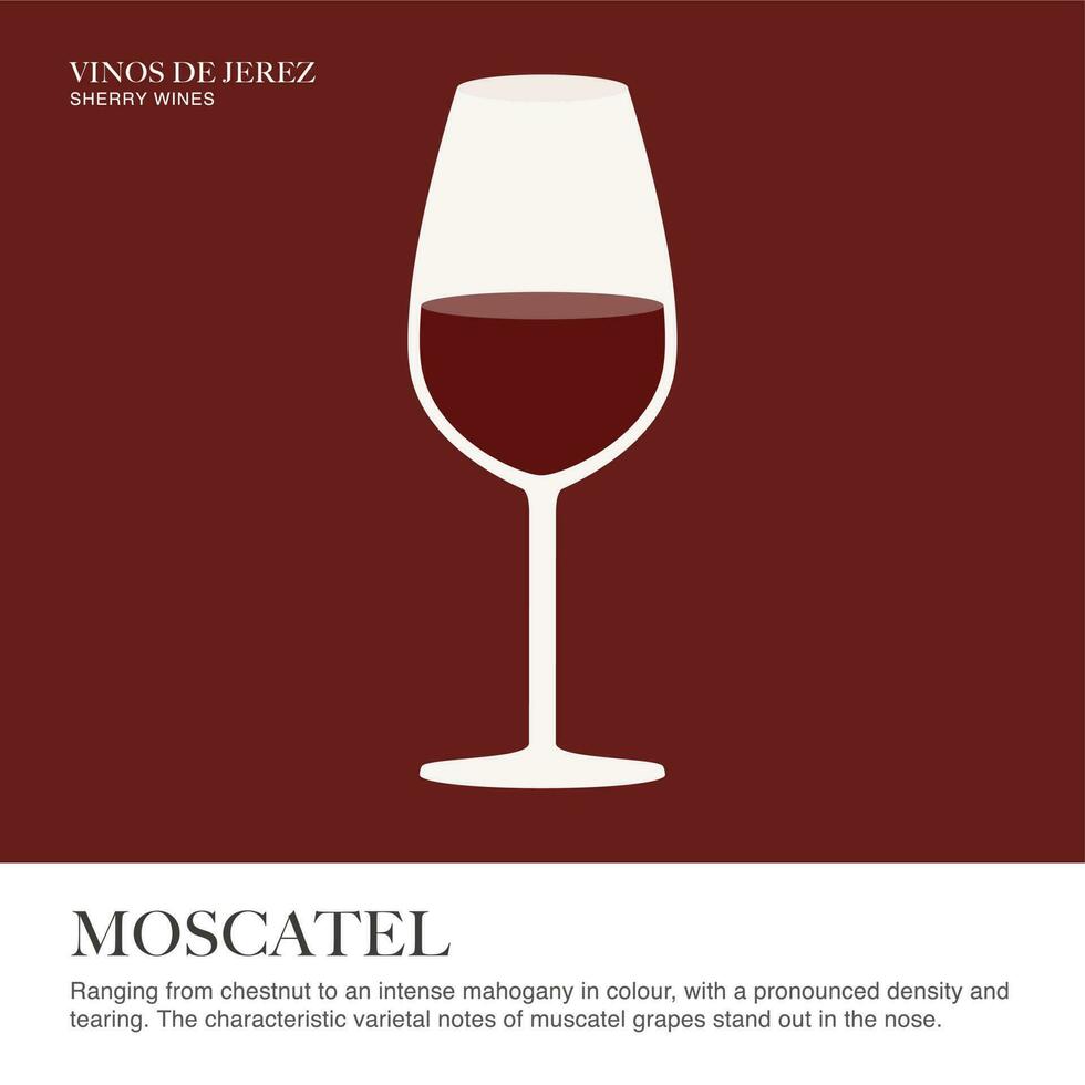 moscatel specificaties vel. sherry wijn. geïllustreerd gids voor bars, restaurants, toerist gidsen, encyclopedieën vector