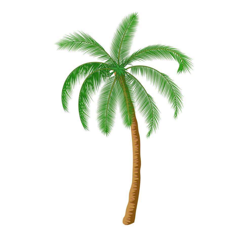 een palmboom vector
