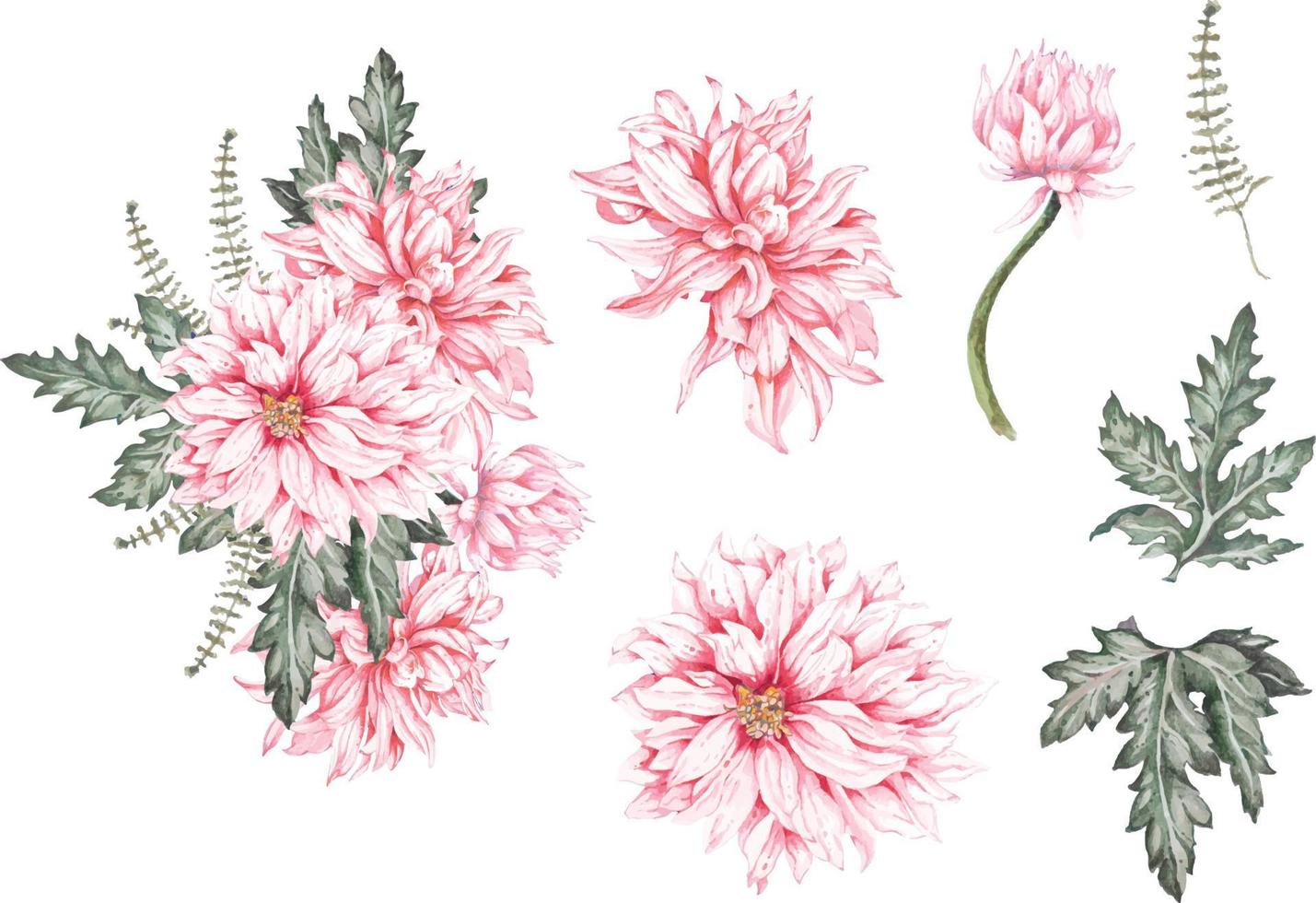 chrysant geschilderd in aquarel vector