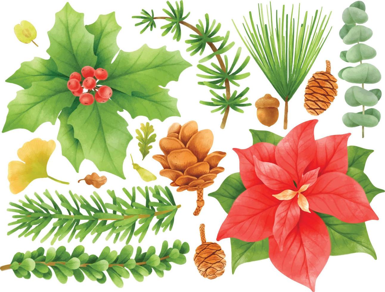 kerst planten decoratie elementen illustraties aquarel stijlen vector
