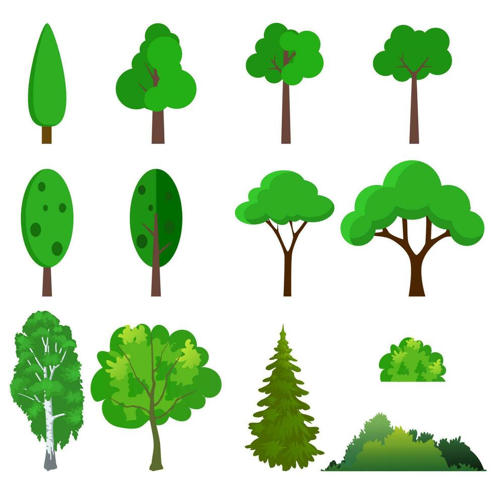 illustratie van een reeks verschillend bomen vector