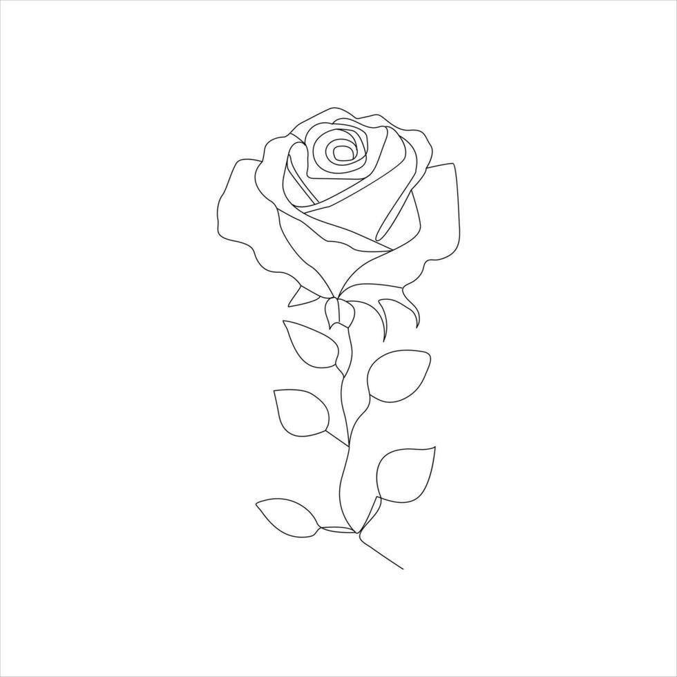 roos een doorlopend lijn tekening. bloemen bloem natuurlijk ontwerp. grafisch, schetsen tekening. roos vector