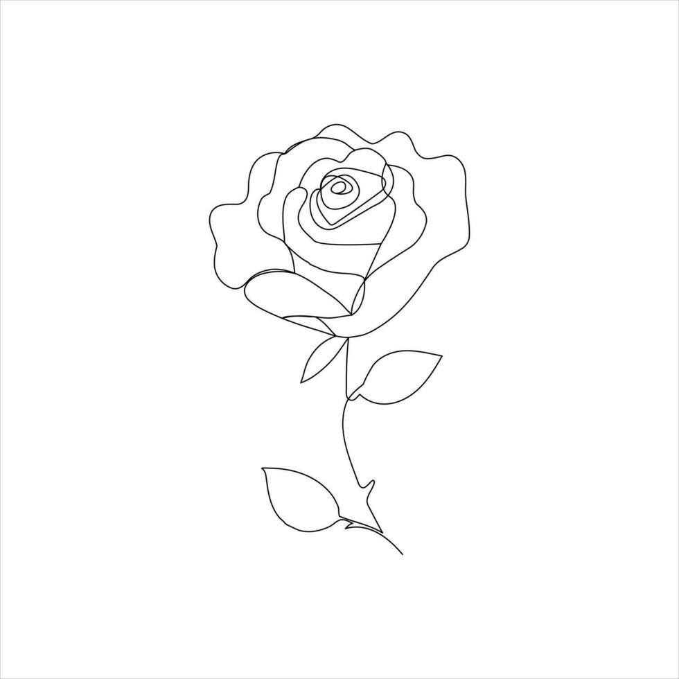 roos een doorlopend lijn tekening. bloemen bloem natuurlijk ontwerp. grafisch, schetsen tekening. roos vector