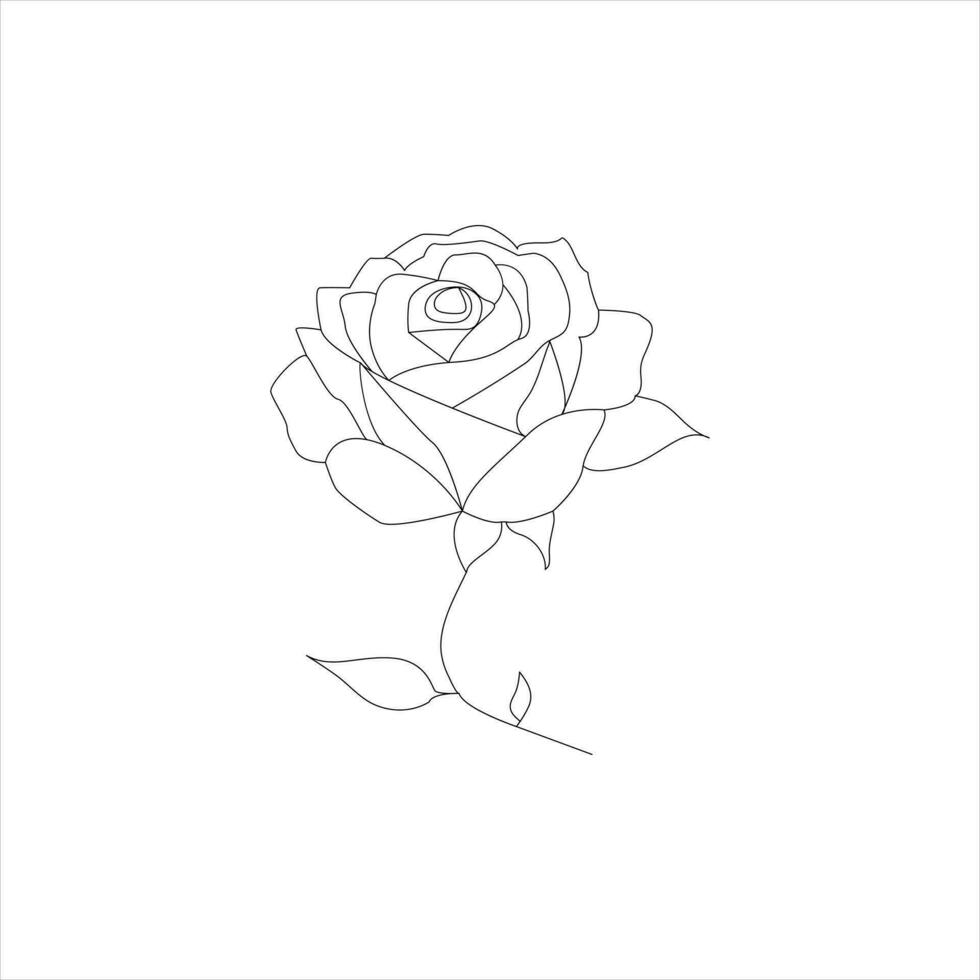 roos een doorlopend lijn tekening. bloemen bloem natuurlijk ontwerp. grafisch, schetsen tekening. roos vector