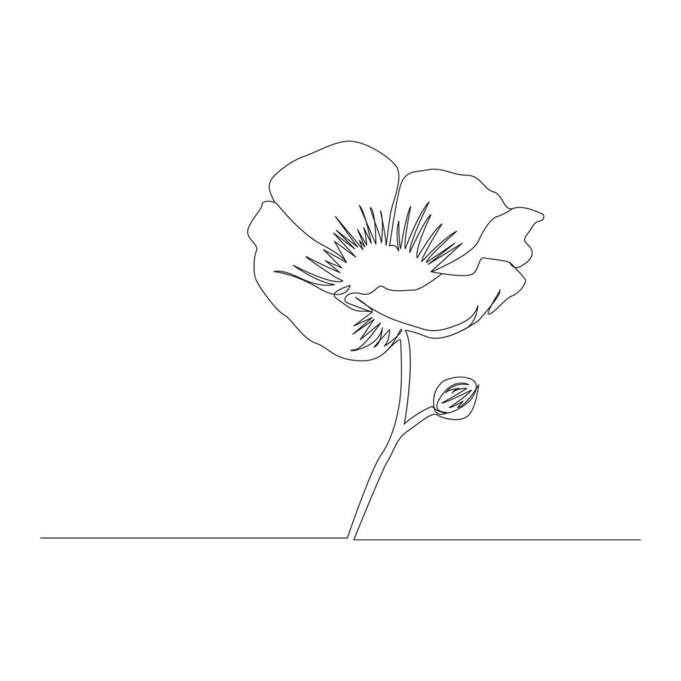 papaver bloemen doorlopend een lijn vector kunst illustratie en single schets gemakkelijk bloem ontwerp