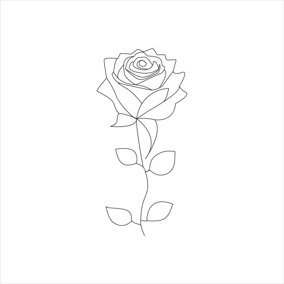roos een doorlopend lijn tekening. bloemen bloem natuurlijk ontwerp. grafisch, schetsen tekening. roos vector