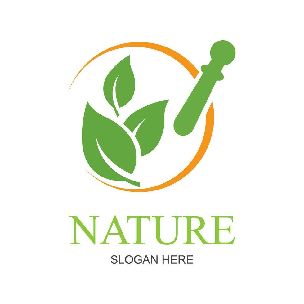 natuur creatief symbool biologisch concept. bio kruiden Gezondheid zorg abstract bedrijf eco logo. vers voedsel, cirkel pakket, schoonheid flora, apotheek icoon. zakelijke identiteit logo, bedrijf grafisch vector