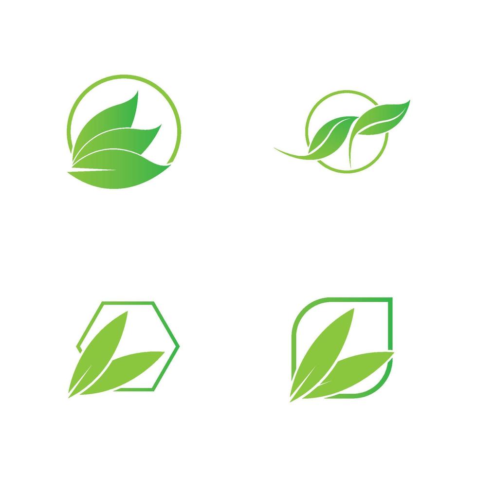 groen blad logo vector