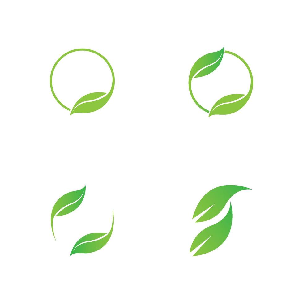 groen blad logo vector