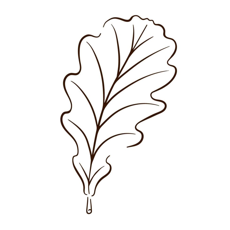 icoon eik blad in lijn kunst stijl. vector illustratie geïsoleerd Aan een wit achtergrond. wijnoogst retro vallen seizoensgebonden decor.