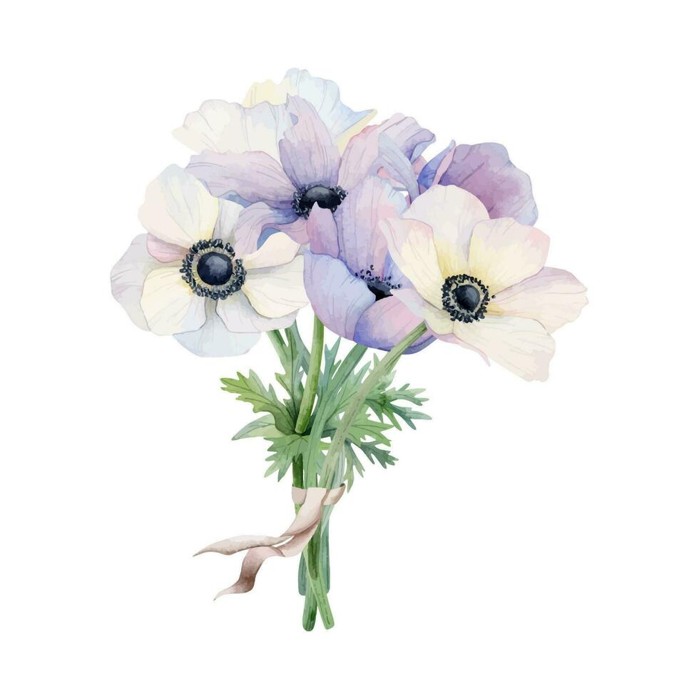 pastel bruid boeket van wit en Purper anemoon bloem waterverf vector illustratie. veld- klaprozen voor voorjaar bruiloft