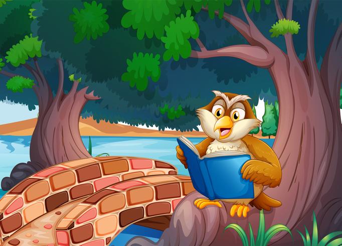 Een uil die een boek leest onder de boom dichtbij de brug vector