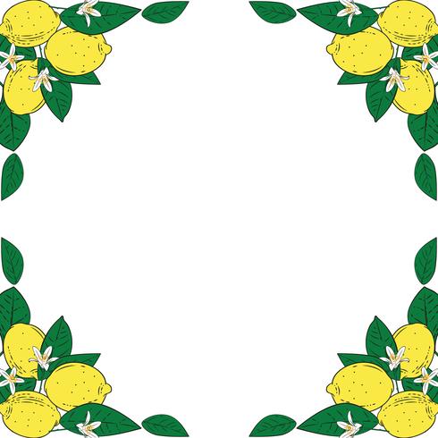 Tropisch citrusvruchtencitroenvruchten met bloemenkader. Zomer kleurrijke achtergrond. Vector illustratie.