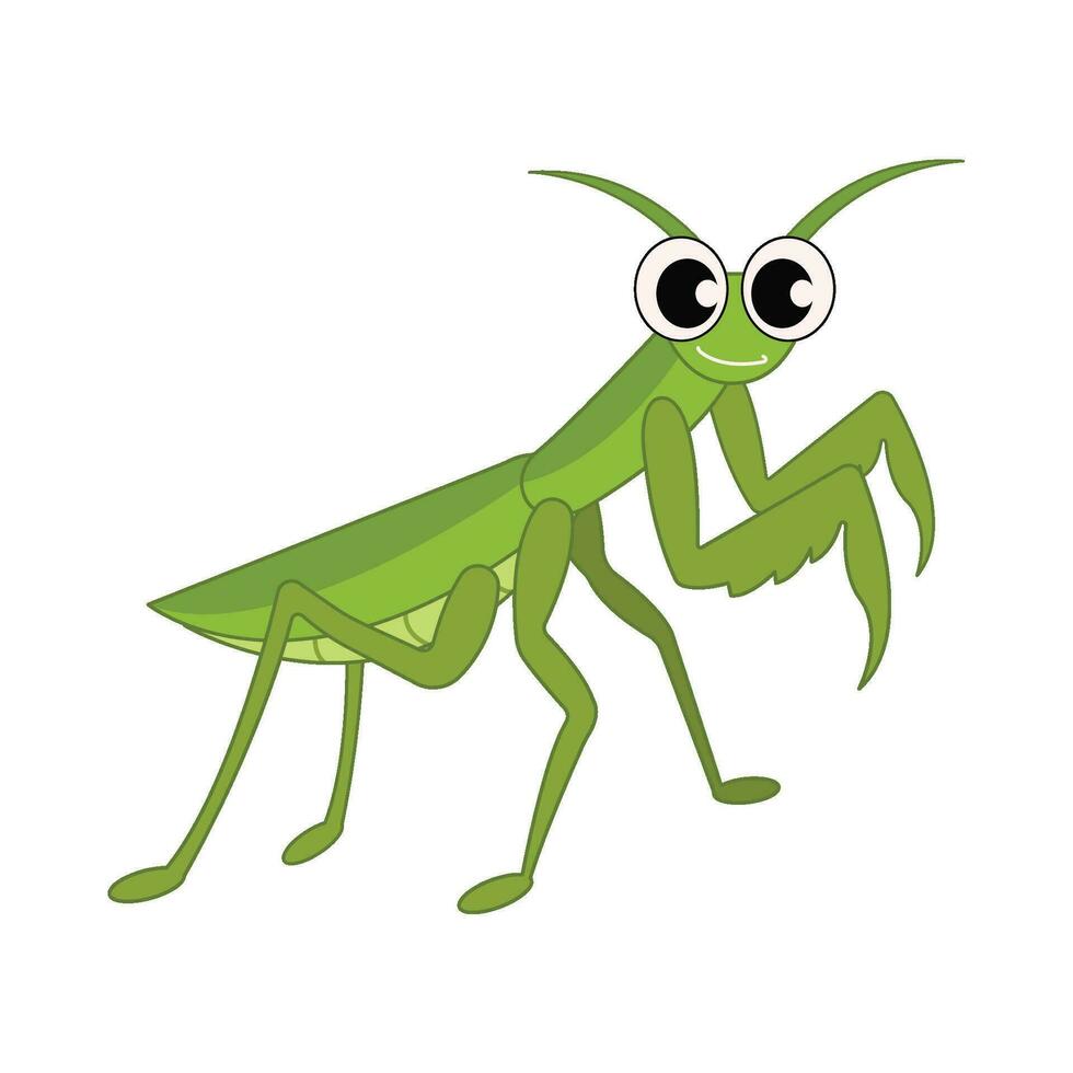 insect dier illustratie vector