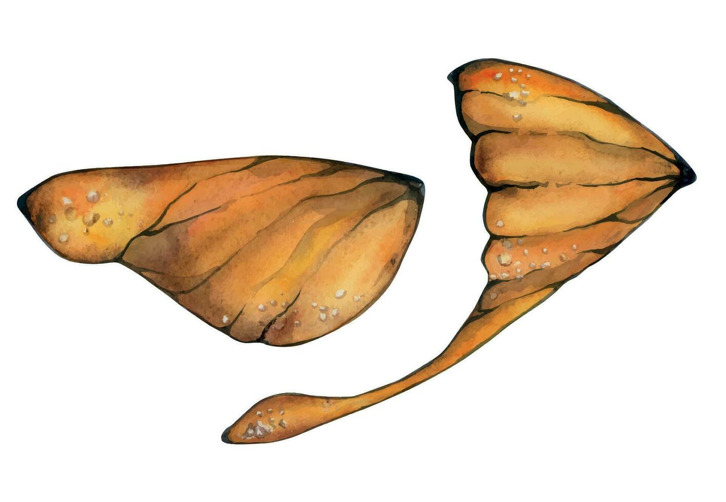 hand- getrokken waterverf illustratie vlinder fee Vleugels edelsteen kristal insect mot. amber sardonyx onyx topaas Jasper. reeks van voorwerpen geïsoleerd Aan wit achtergrond. ontwerp afdrukken, winkel, bruiloft, verjaardag vector