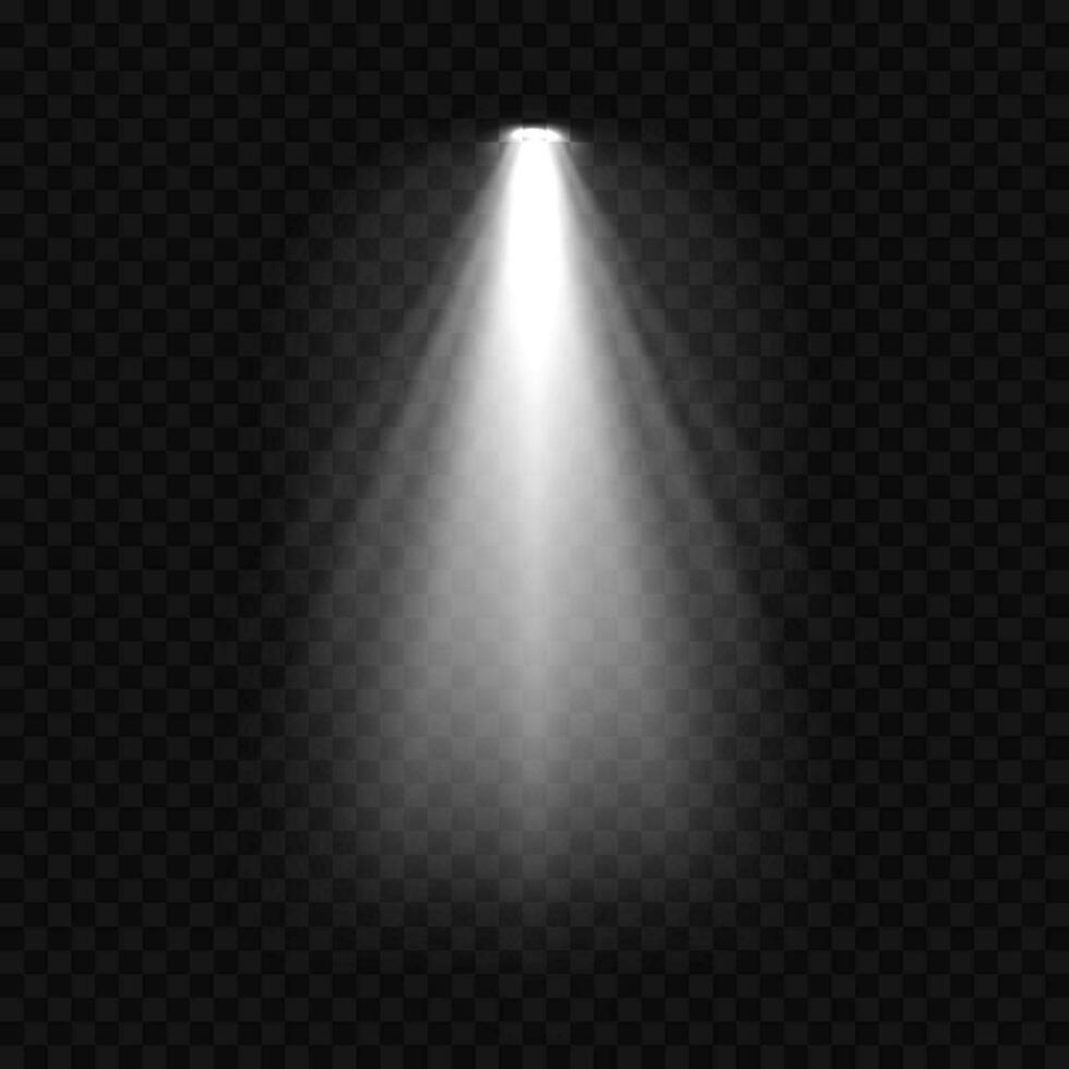 verlichting met spotlight verlichting Effecten vector