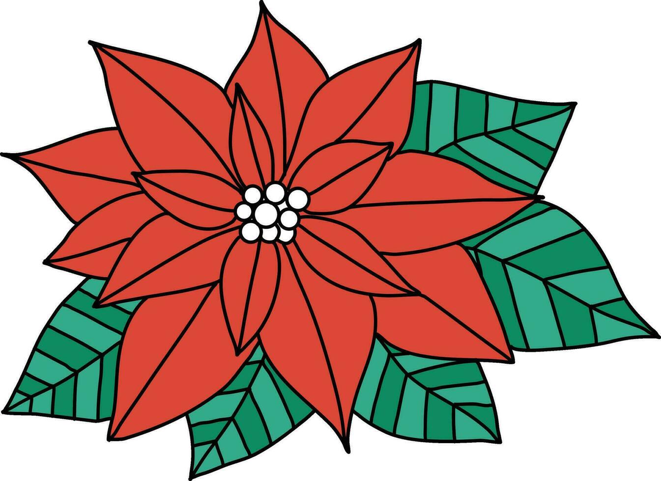 Kerstmis ster rood kleur met gemakkelijk lijnen is gebruikt naar aanvulling Kerstmis kunstwerken. kerstster, met beide bloemen en bladeren getrokken net zo een bloemen regeling, is geplaatst in een pot voor Kerstmis vector