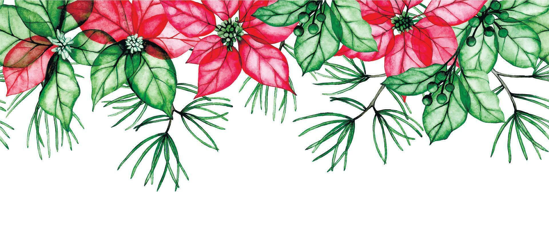 waterverf patroon, Kerstmis decoratie naadloos grens, kader met transparant bloemen, röntgenfoto. kerstster bloemen, hulst bladeren en net takken. winter samenstelling voor nieuw jaar, Kerstmis vector