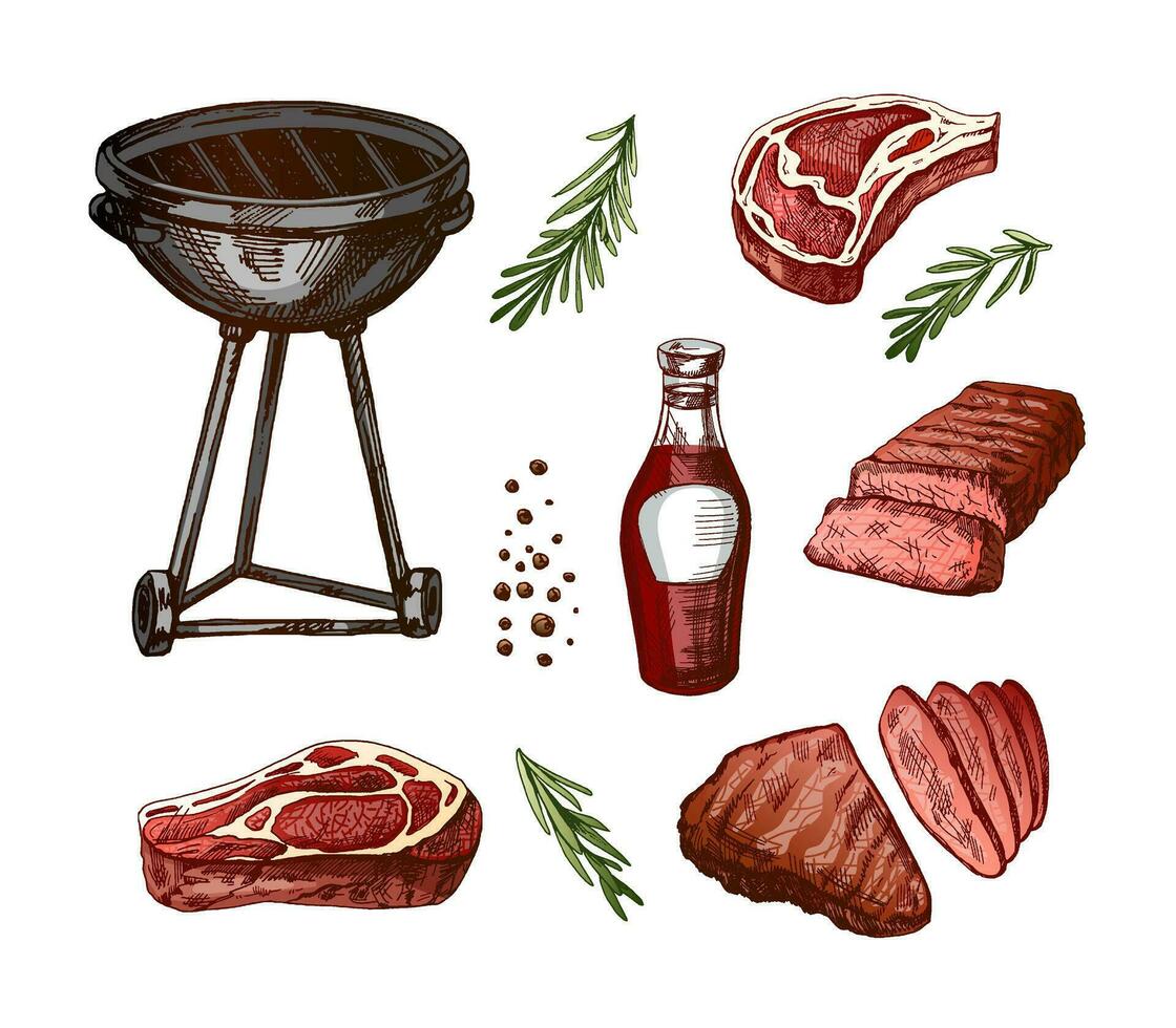 een reeks van hand getekend schetsen van barbecue elementen. voor de ontwerp van de menu van restaurants en cafés, gegrild voedsel. tekening wijnoogst illustratie. gegraveerde afbeelding. vector