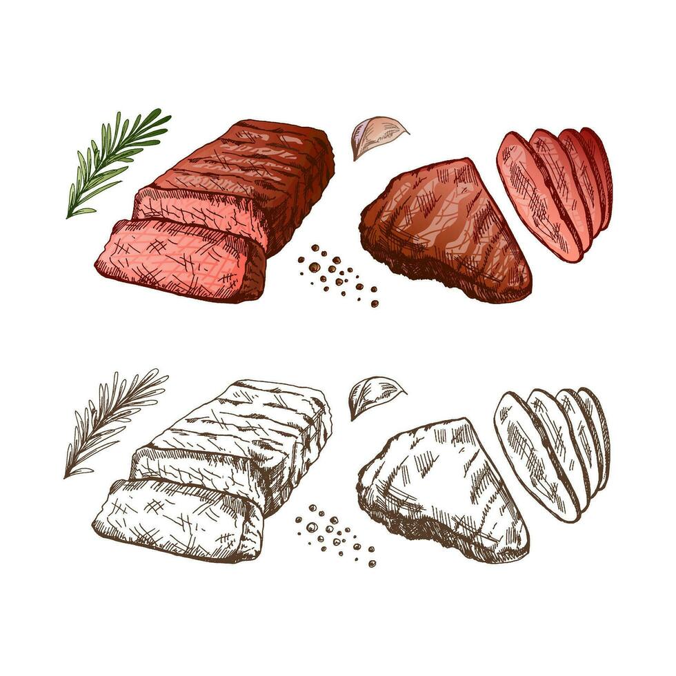 biologisch voedsel. hand- getrokken gekleurde vector schetsen van gegrild rundvlees steaks, stukken van vlees met rozemarijn en knoflook. wijnoogst illustratie. decoraties voor menu. gegraveerde afbeelding.