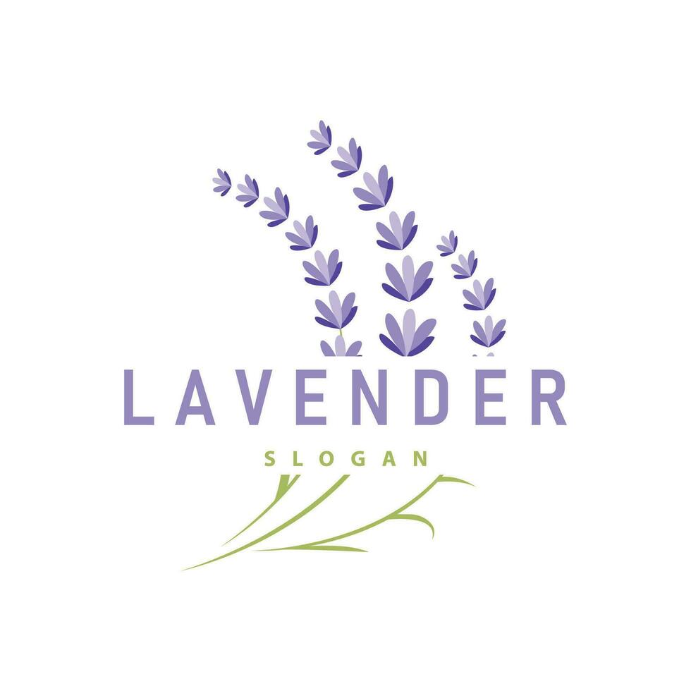 lavendel logo elegant Purper bloem fabriek illustratie bloemen ornament ontwerp vector