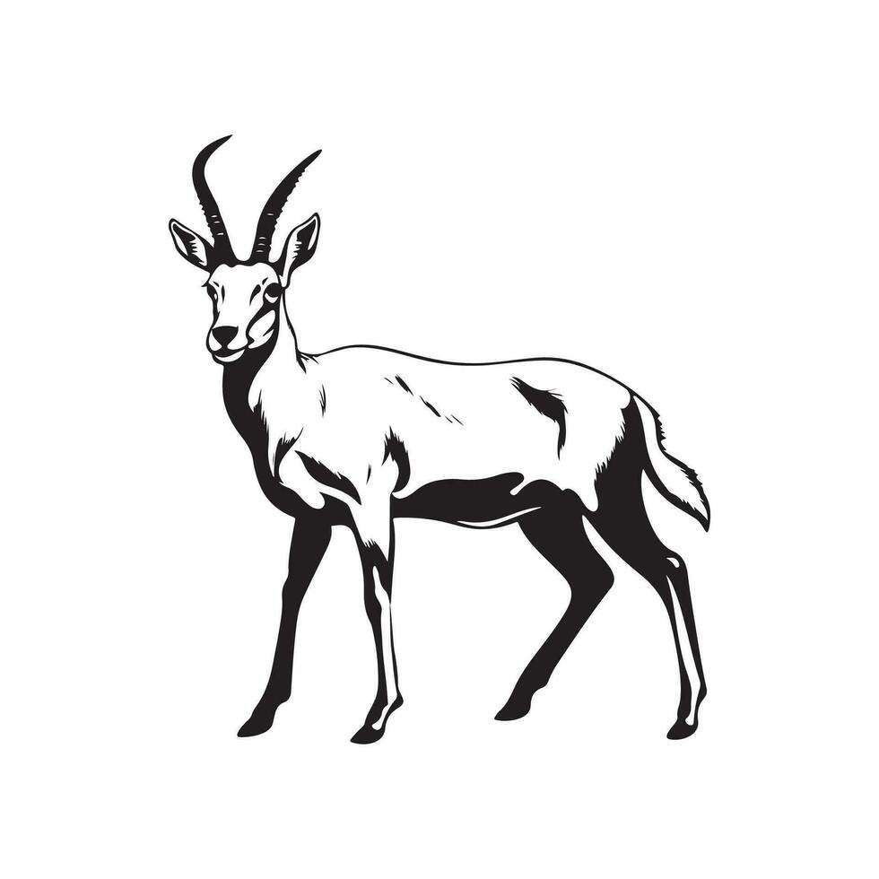antilope vector afbeeldingen
