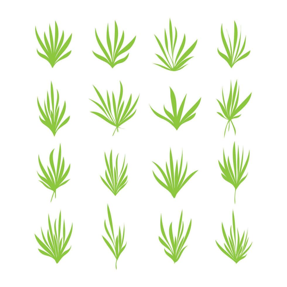 groen bladeren gras fabriek geïsoleerd vector illustratie.