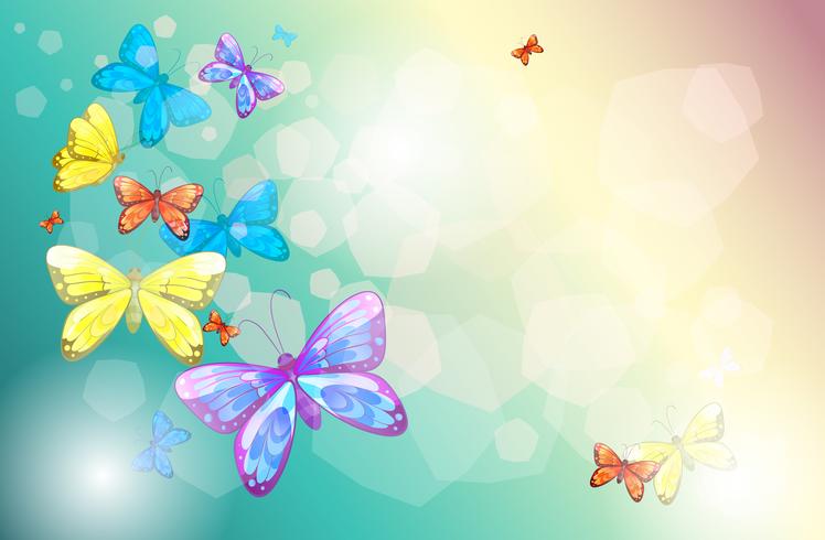 Kleurrijke vlinders in een speciaal papier vector