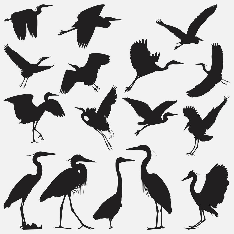 reiger vogel silhouet vector