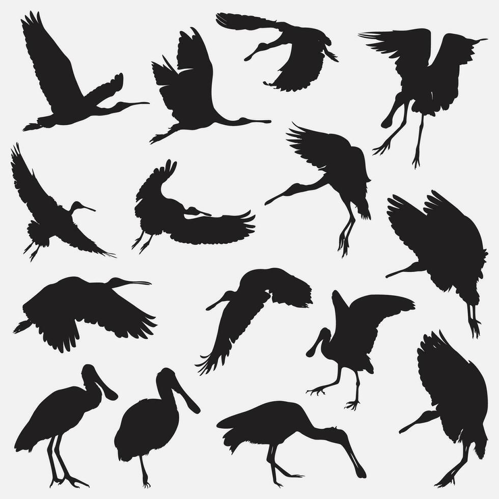 roseate lepelaar vogel silhouetten vector