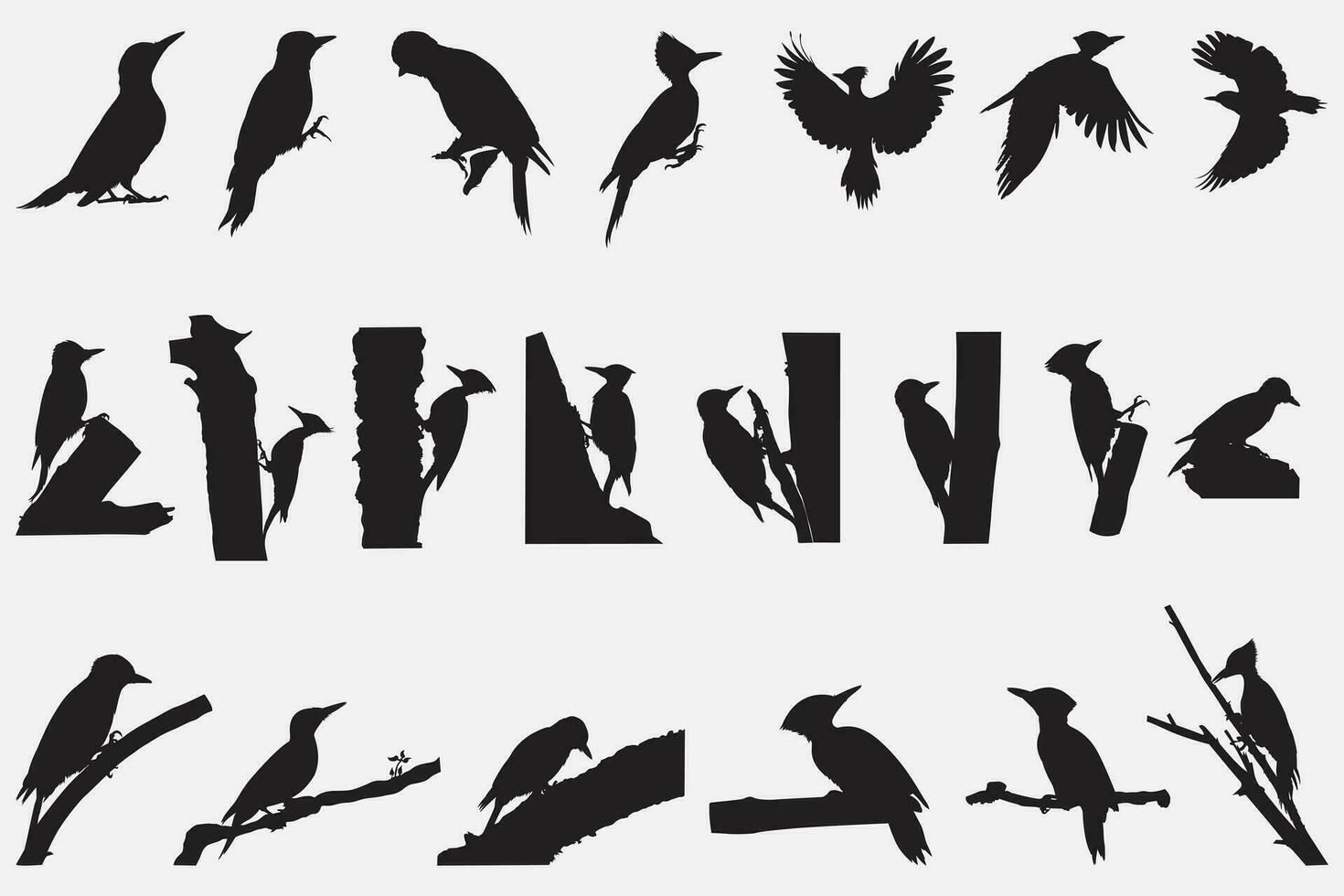 specht vogel silhouet vector