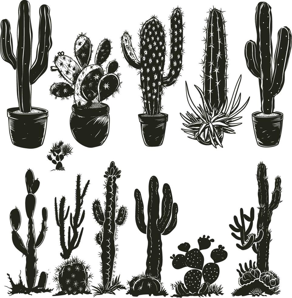 reeks van cactus silhouet vector illustratie