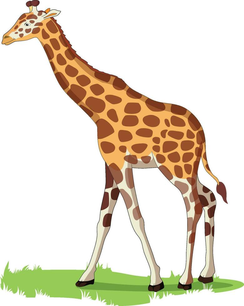 giraffe Aan de gras vector illustratie