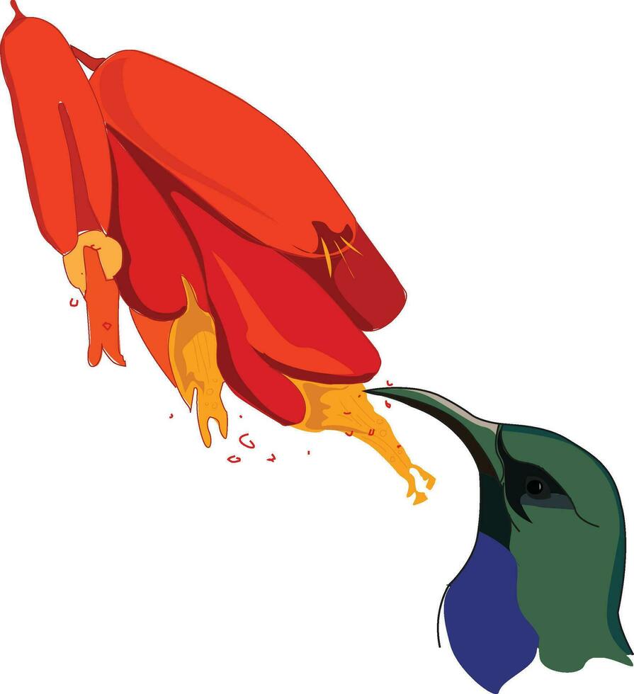 kolibrie bek vector illustratie