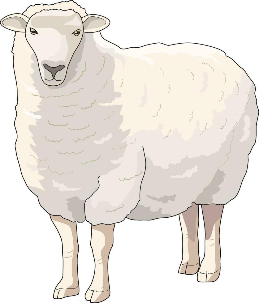 schattig boerderij dier schapen vector
