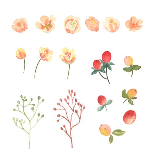 Bloemen en bladeren aquarel elementen instellen handgeschilderde weelderige bloemen vector