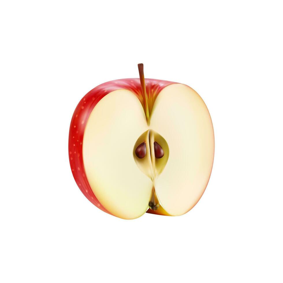 realistisch rood appel, geheel fruit plak, voor de helft besnoeiing vector