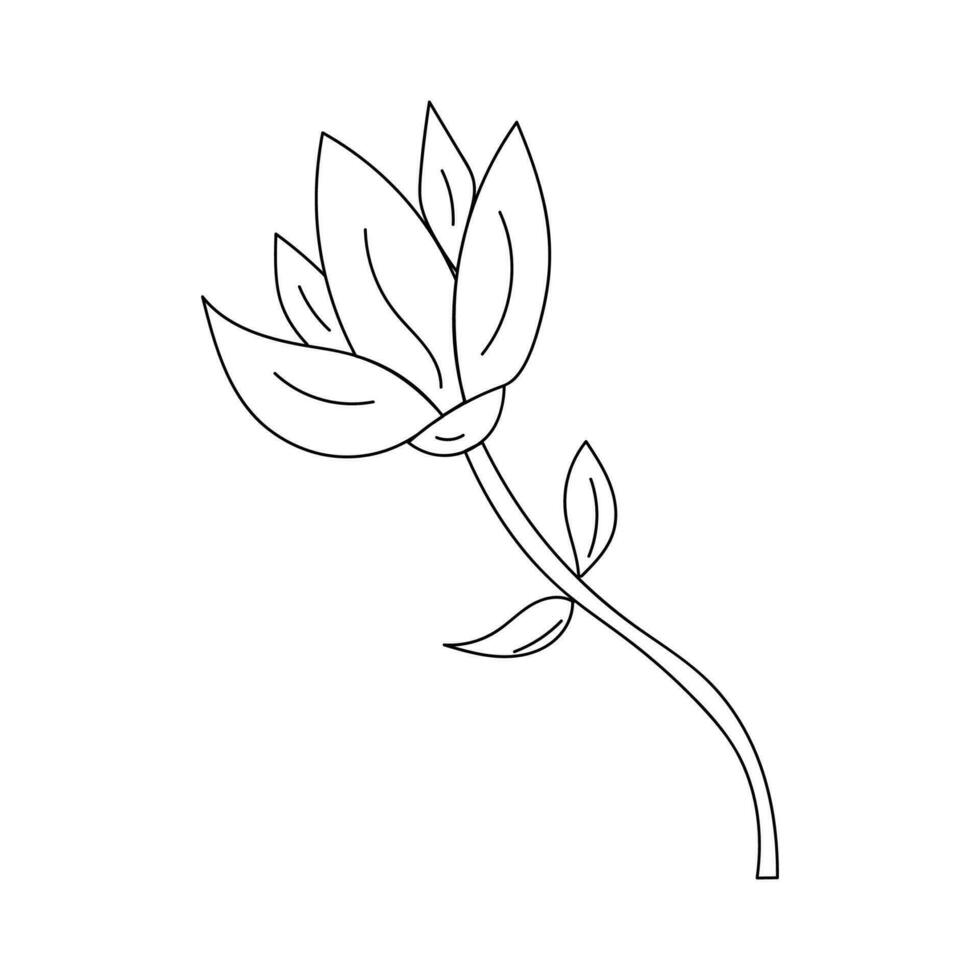 een single bloem in tekening stijl Aan een wit achtergrond. vector