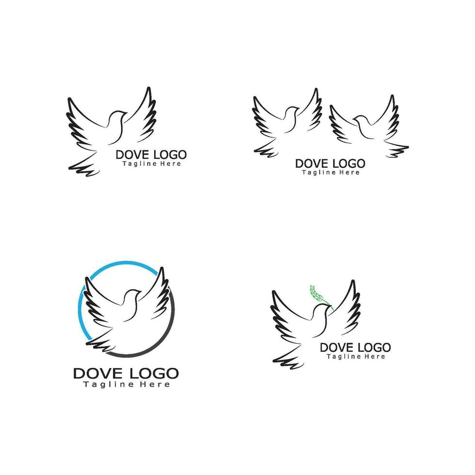 vogel duif logo sjabloon vector